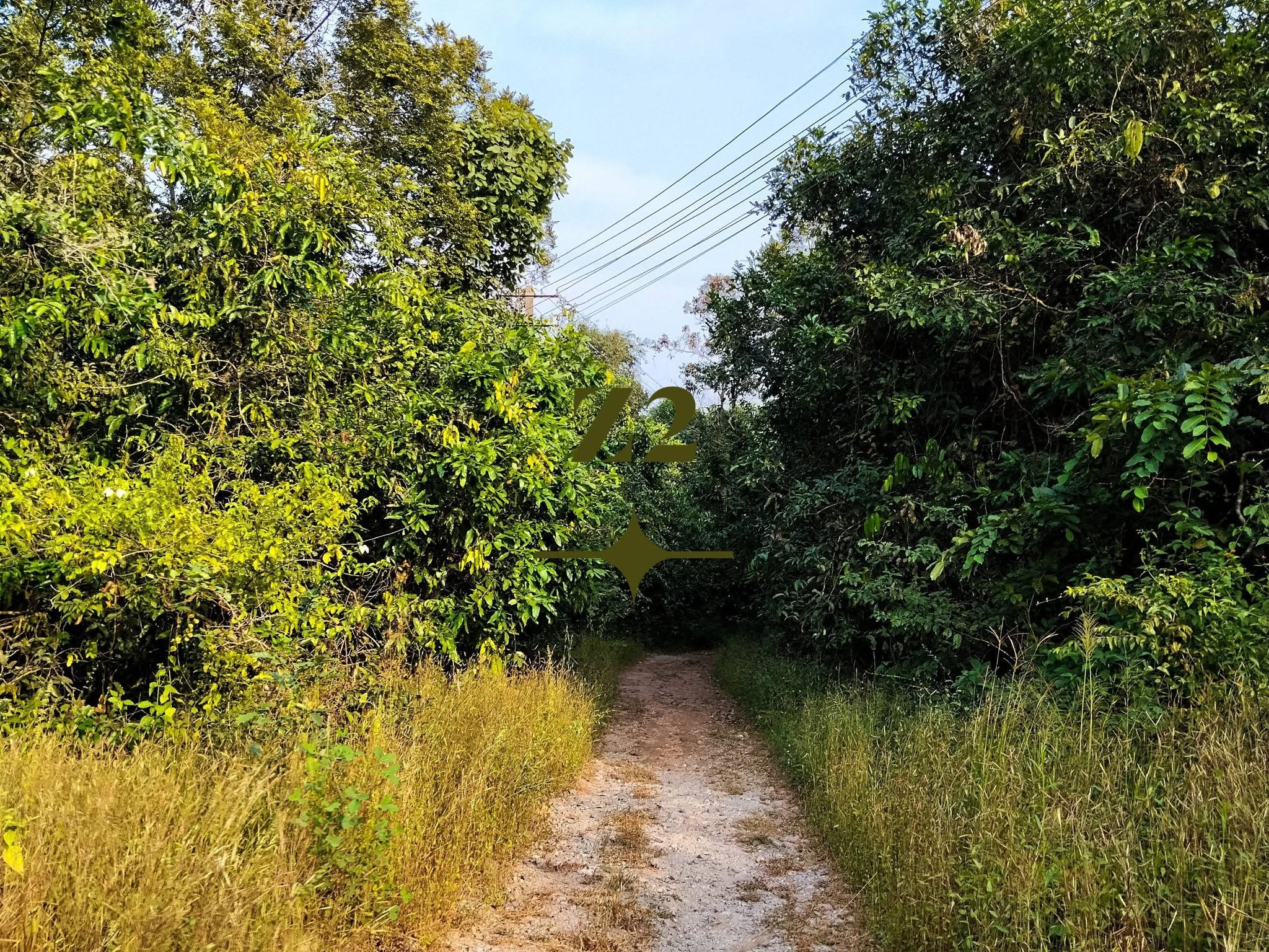 Agri Land