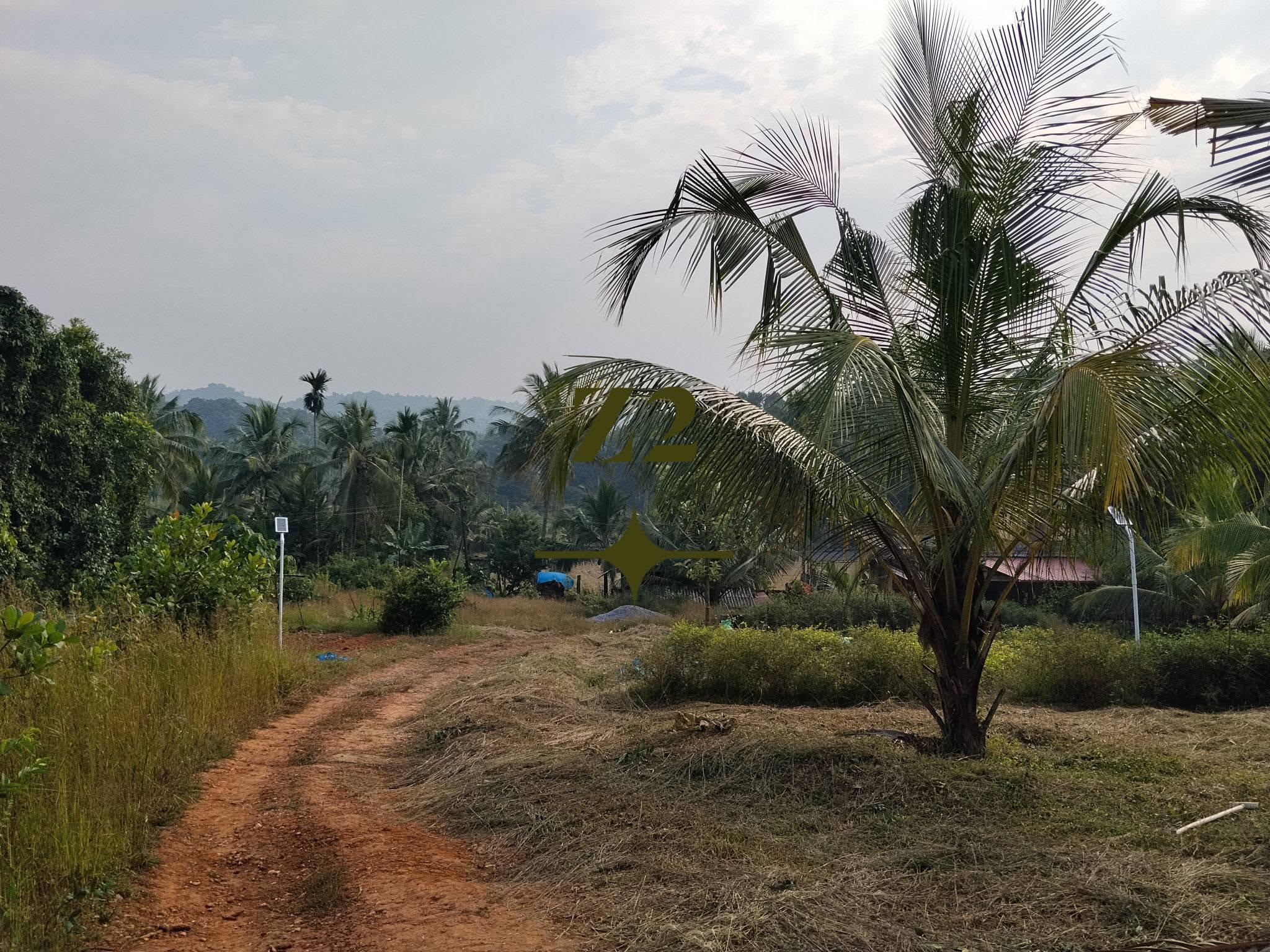Agri Land