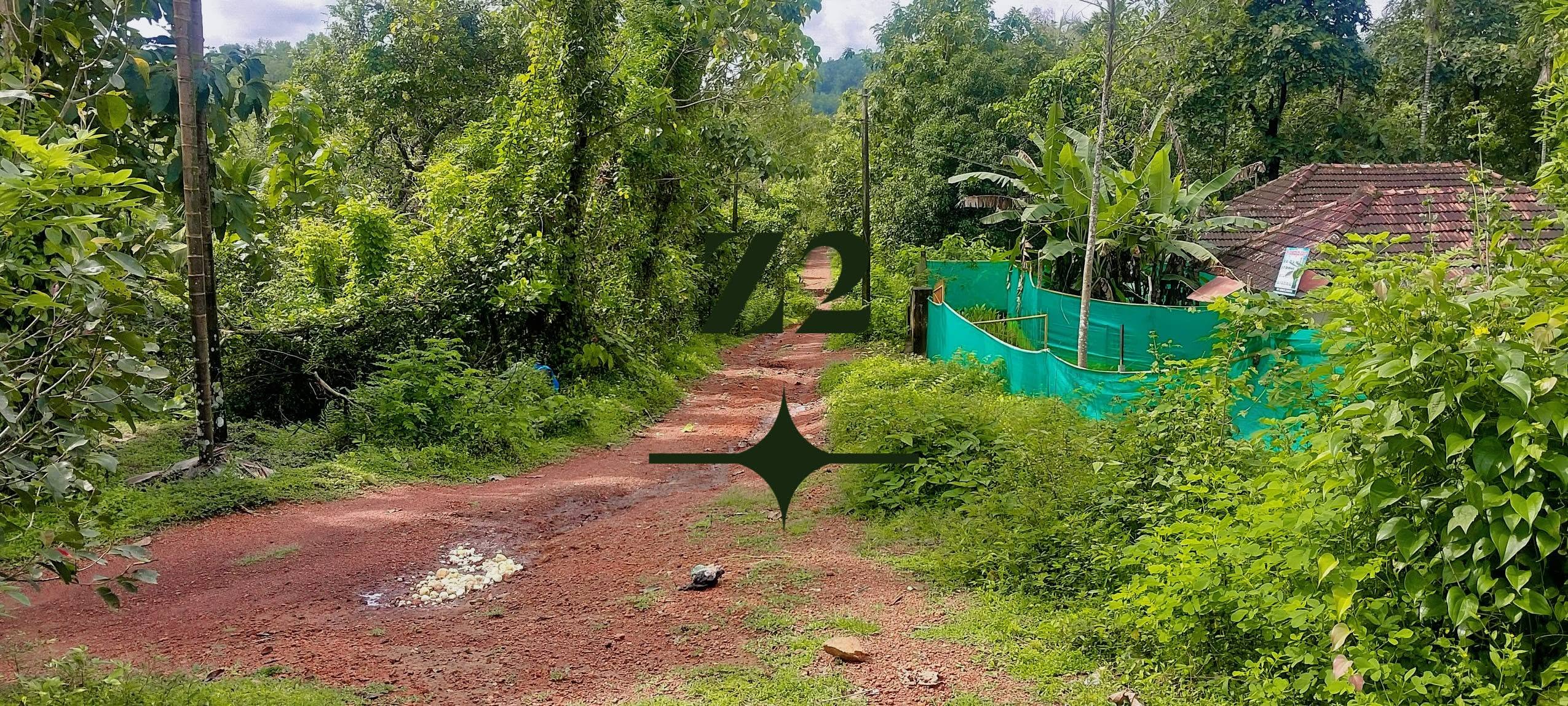 Agri Land